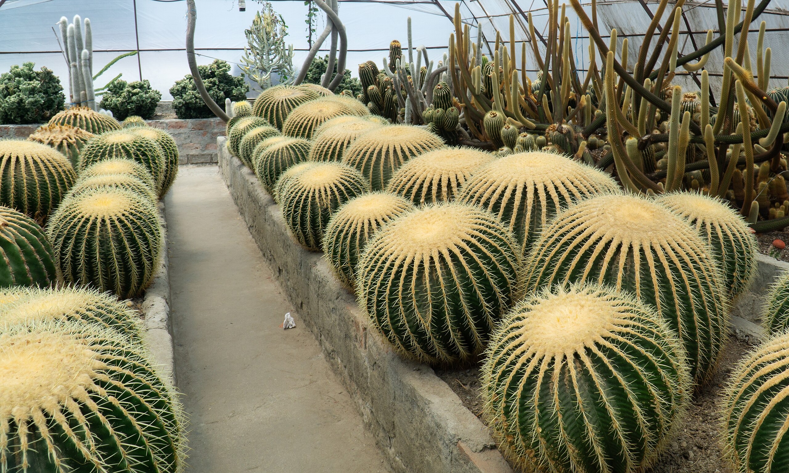 Pine View Nursery